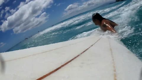 Surfing Waikiki