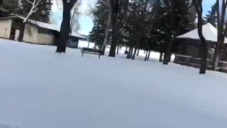 Ice Skating Through Trees
