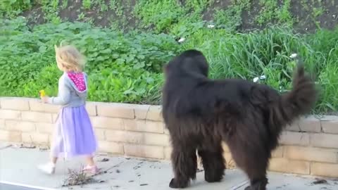 Dogs PROTECT children Children and dogs are best friends_nanny dogs funny collection