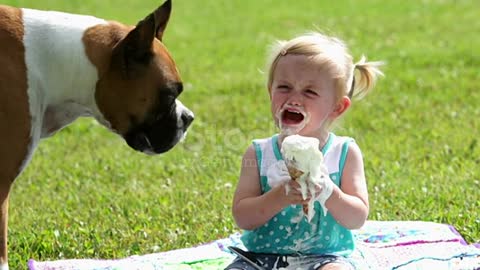 كلب الملاكم ، فتاة صغيرة و آيس كريم مخروط Boxer dog, little girl and ice cream cone
