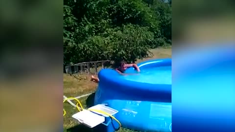 Man Bellyflops Into Inflatable Pool Off Ladder