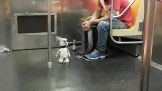 Man in red with robot dog on train