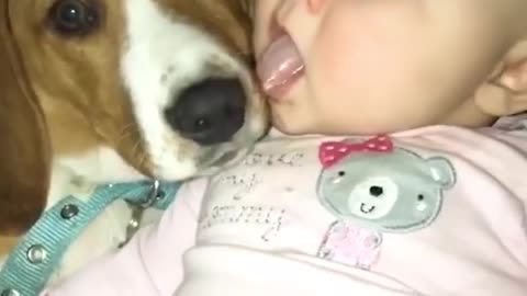 Cute Baby and Dog Lick each Other in the Mouth! (Playlist-Fun, Happy