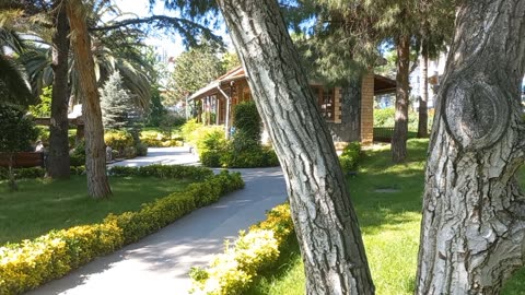 A beautiful view from inside the garden, a small house and the sounds of birds