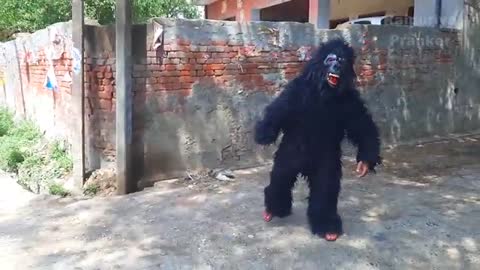 😂مقاطع مضحكة Fake Small Gorilla vs Dog Prank Funniest