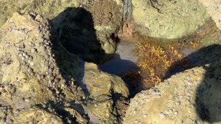 20210601 Deerfield Beach Tidepool Timelapse