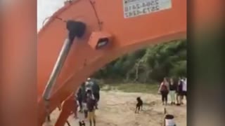 El rescate de una ballena bebé encallada en una playa cercana a Río de Janeiro