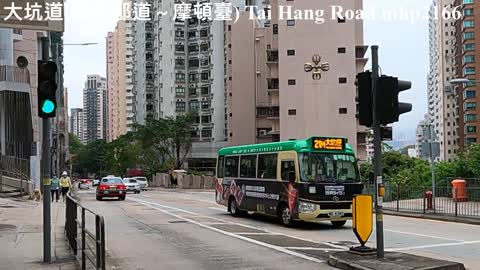 大坑道（勵德邨道～摩頓臺）Tai Hang Road, mhp2166 #大坑道 #勵德邨道 #摩頓臺