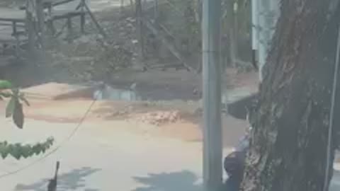 Police Shoot Public 2