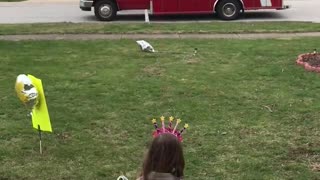 Emergency Workers Wish Lucky Girl Happy Birthday