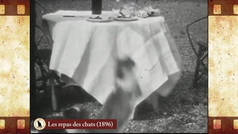 Les repas des chats (1894) 🐱 Cat Movies 🎥🐈