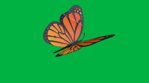Butterfly flying on green background
