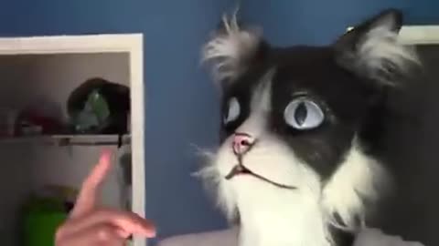 Man in Cat Mask Scares all of his Cats