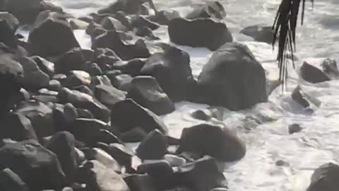 Guy on top of rocks gets splashed by waves