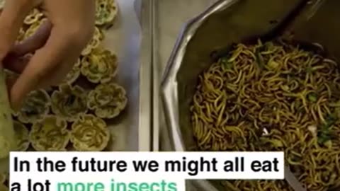 Are You Ready to Eat A Lot of Insects?