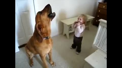 The dog singing a song