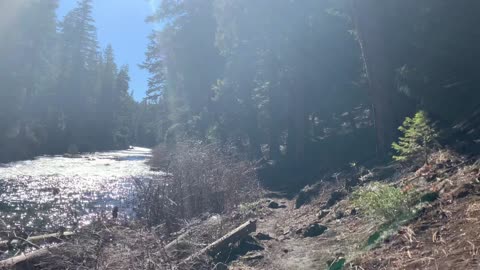 Hiking Beside Beautiful Glistening Metolius River – Central Oregon