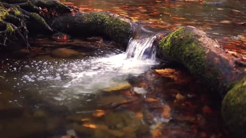 20 min of water flowing from the river.