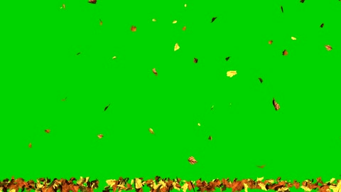 autumn wind falling green leaves screen keying video