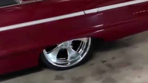 Ventage impala