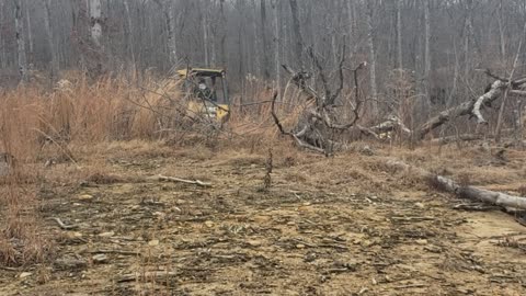 Miller Farms - Key Hollow Land Clearing