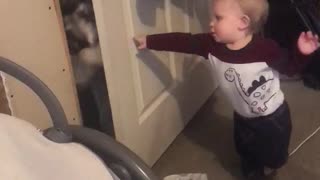 Dog Gives Baby Push with Door