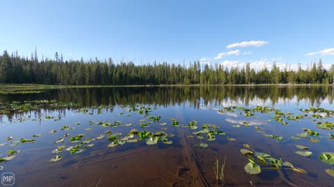 Peaceful Mountain Lake - 4K Ultra HD