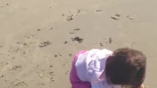 Collab copyright protection - toddler girl in pink fall beach sand