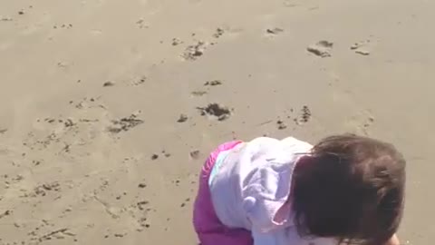 Collab copyright protection - toddler girl in pink fall beach sand