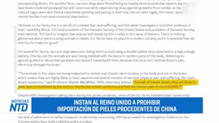 ¿Robots o humanos? Filman extraño comportamiento de sirvientes de líderes chinos. PCCh impacta a USA