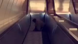 Man in black jacket and jeans falls down escalators