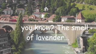 Lavender's Soothing Secret
