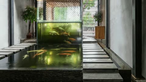 30 design koi fish pond