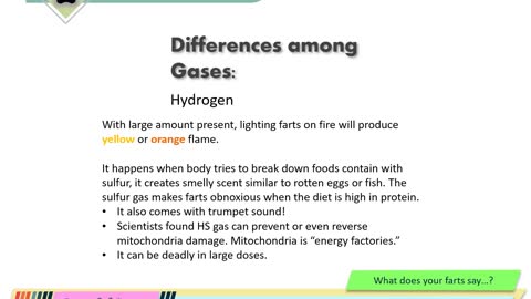 Why Dog Farts - Fun Video on Flatulation Facts & Hacks