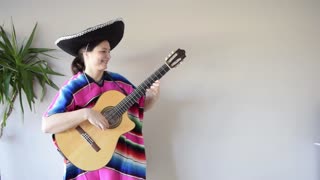 Mexican Hat Dance Guitar Cover