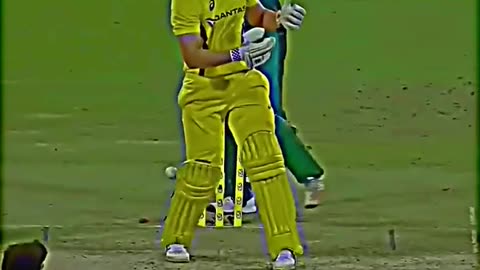 Funny moment in cricket Bat goes for SIX