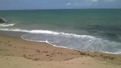 Recording the sea in the sand of the beach, the waves come and go all the time [Nature & Animals]