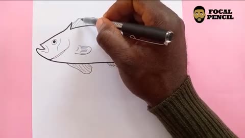 How To Draw A Red Grouper (Fish)