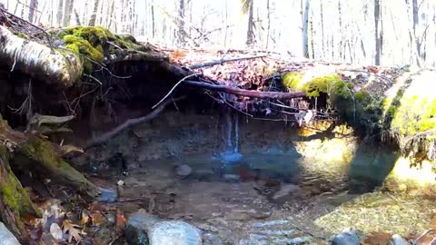 (Muddy Stream) Just Nature UpNorth