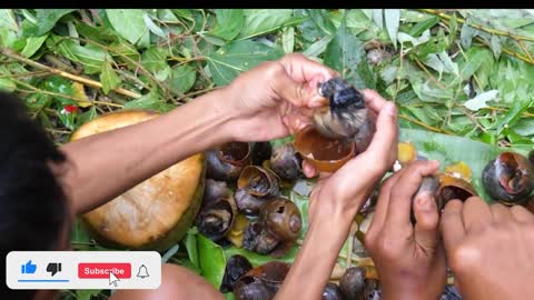 KEP Primitive Technology - Eating Delicious - Cooking Snail With Coconut Near The River #22