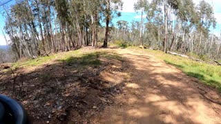 Fun In The Hotham Alpine Region Pt II.