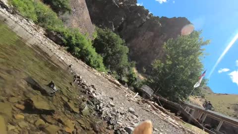 Doug chillin in the Snake River after some Wild Steak herding