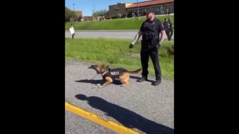 Protester gets bit by a police dog after antagonizing it