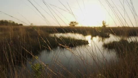 Lake surrounded by dry grass in the savanna