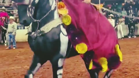 the horse dance | viral horse | Funny animals