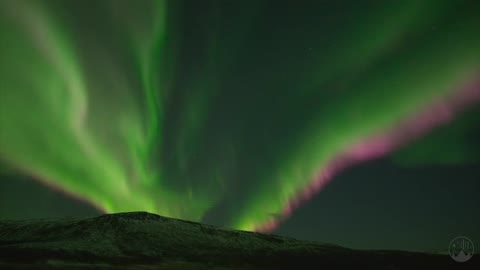 CRAZY PINK AURORA in Tromsø, Norway 😱 - real-time 4K ProRes RAW