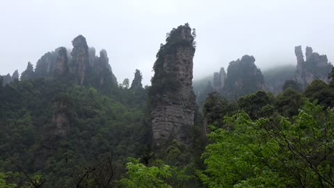 "Avatar" Mountain & Wulingyuan Scenic Area