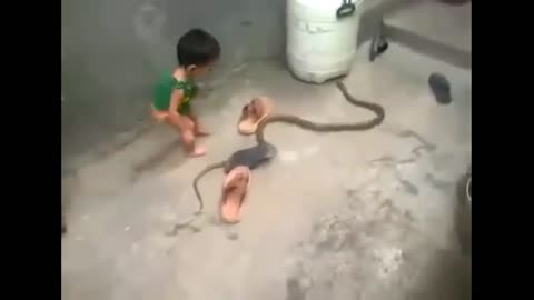 Small baby unknowingly playing with snake.