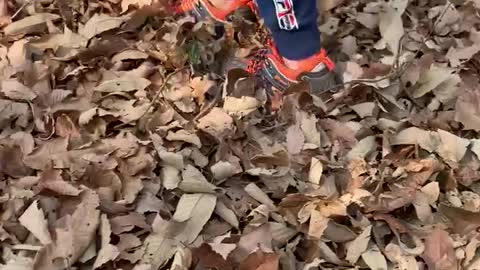 the sound of stepping on fallen leaves