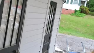 Deer in Decatur Darts out of House